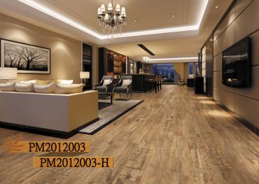 PM2012003+PM2012003-H